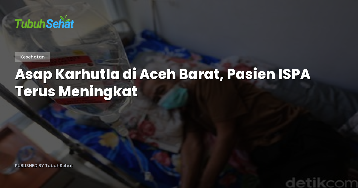 Asap Karhutla di Aceh Barat, Pasien ISPA Terus Meningkat