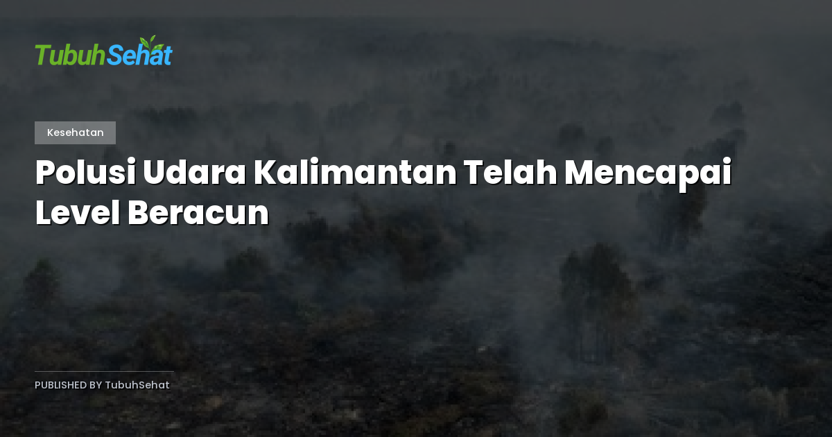 Polusi Udara Kalimantan Telah Mencapai Level Beracun