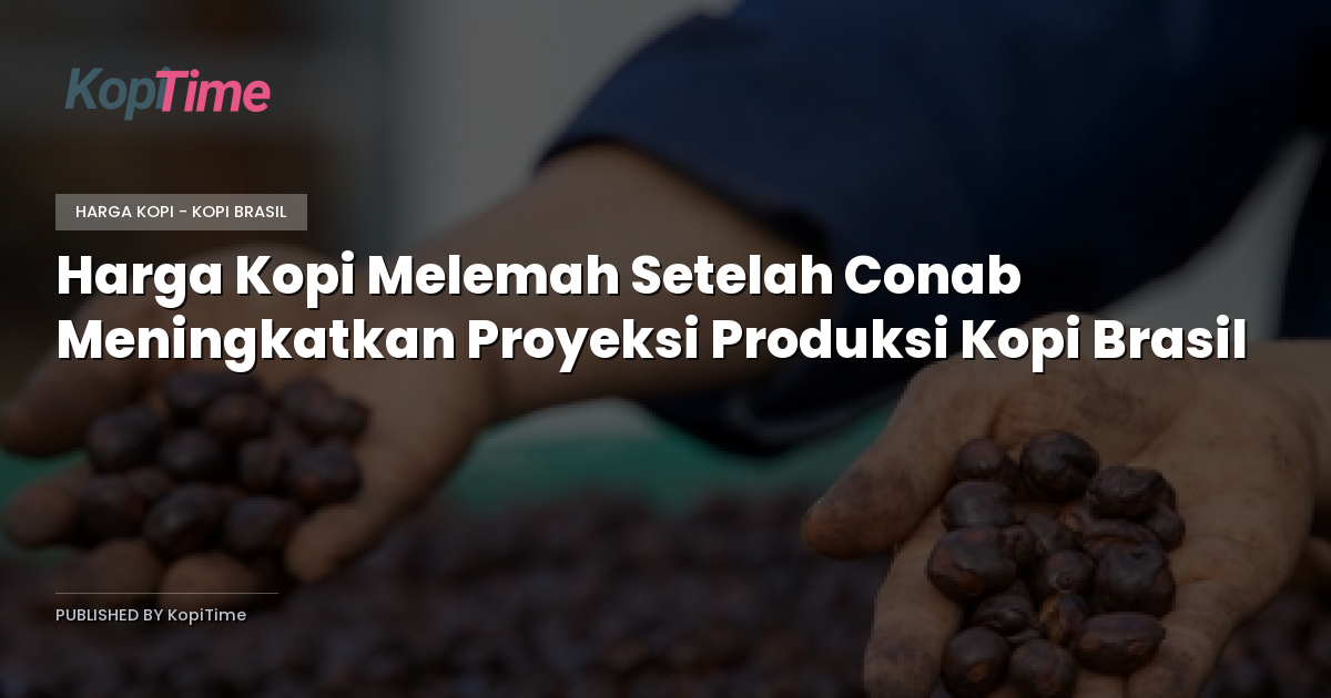 Harga Kopi Melemah Setelah Conab Meningkatkan Proyeksi Produksi Kopi Brasil