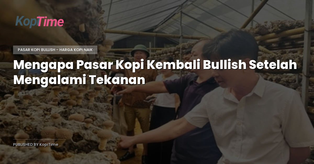 Mengapa Pasar Kopi Kembali Bullish Setelah Mengalami Tekanan