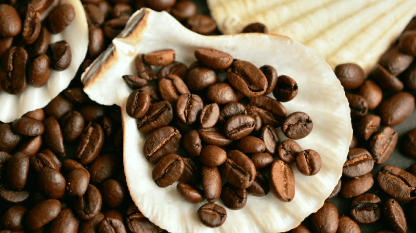 Pengaruh Iklim pada Kopi terhadap Kualitas Rasa dan Aroma