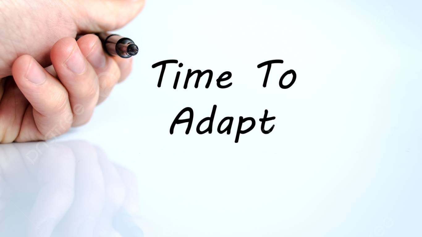 perdagangan kopi di awal tahun 2026 dan strategi adaptasi pelaku usaha