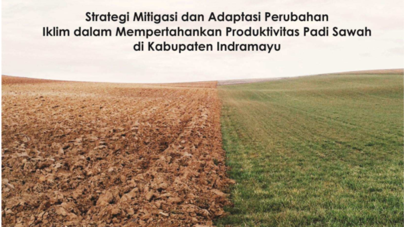 Strategi Mitigasi Pengaruh Iklim pada Kopi di Indonesia